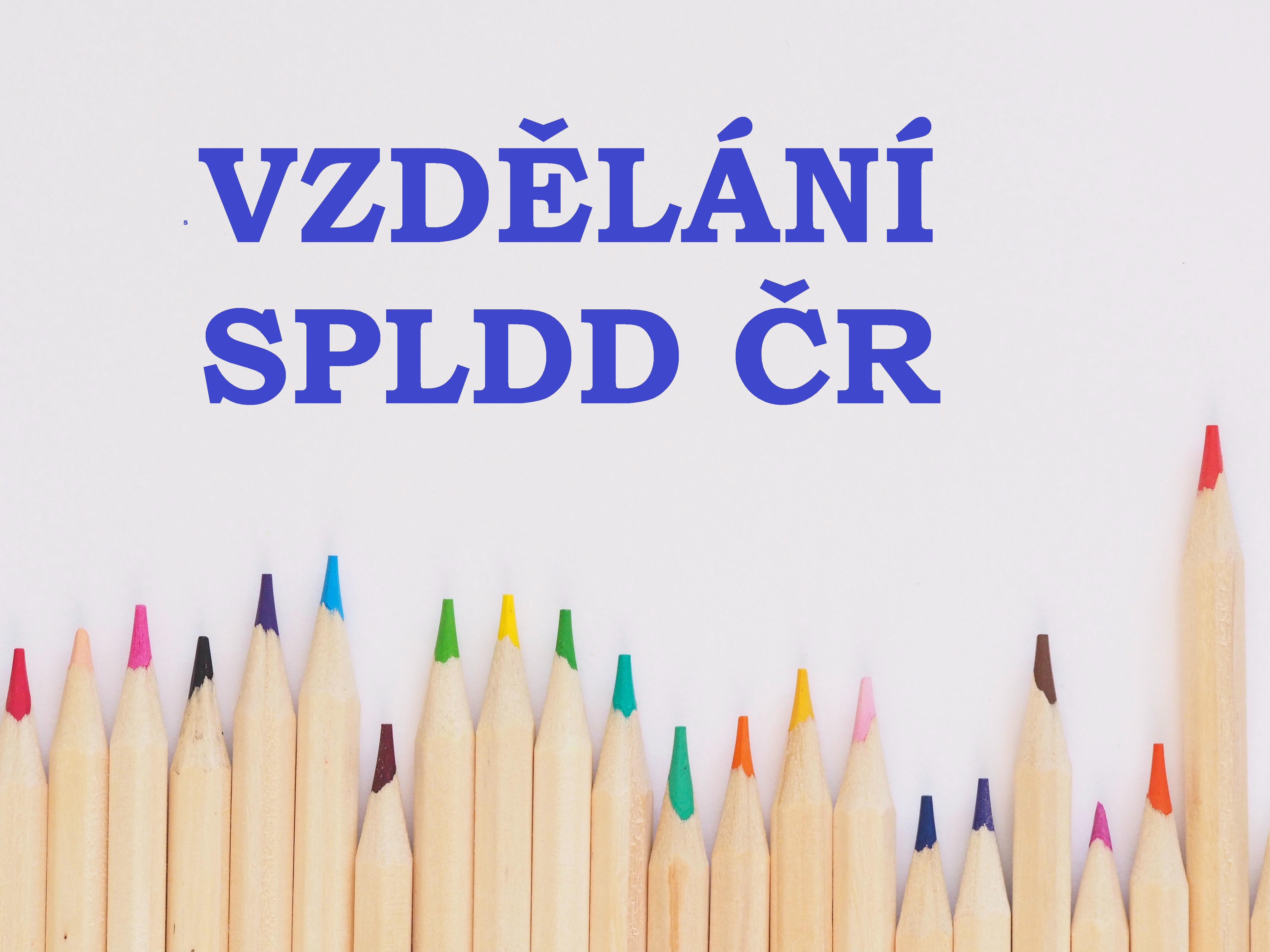 vzdělání SPLDD ČR.jpg