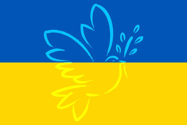 ukraine-g2d3a4e68e_640.png